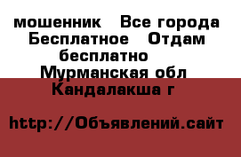 мошенник - Все города Бесплатное » Отдам бесплатно   . Мурманская обл.,Кандалакша г.